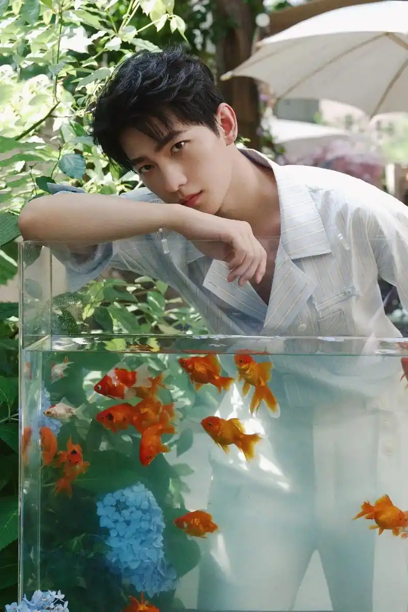 这是我喜欢了九年的男孩@杨洋#杨洋 - 抖音