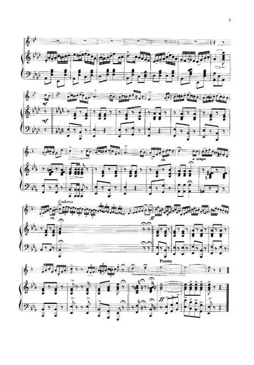 幽谷乐园小号独奏