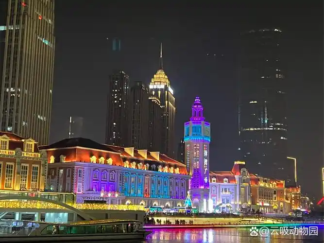 在天津的跨年夜,我感受到了这座城市的活力和温暖.走在海河边的热闹街