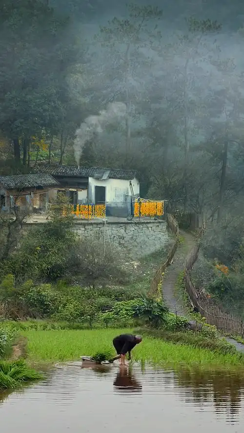 这就是真实的农村山沟沟里很多人翻到了就直接划走了乡亲们叫我不要拍