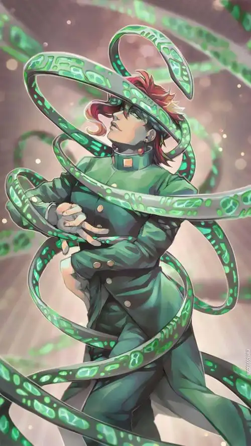 jojo的奇妙冒险花京院典明手机壁纸图片集(8)