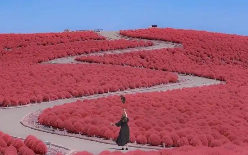 ins超美图片,随便一帧都是壁纸,持续更新ing_哔哩哔哩_bilibili