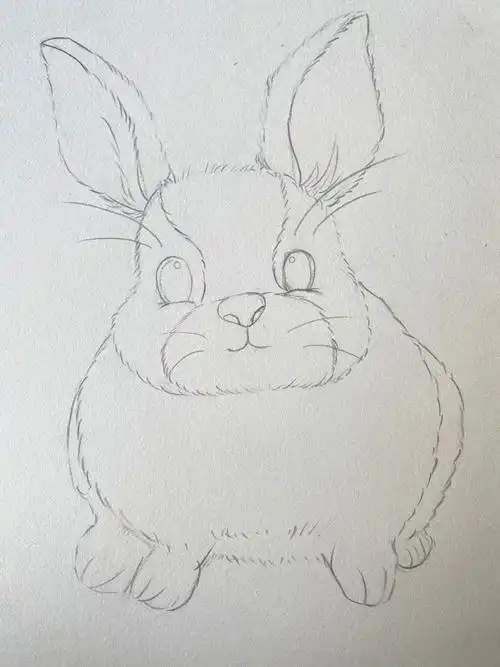 彩铅兔子