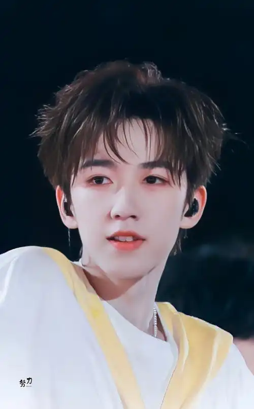 贺峻霖2024 霖声漫漫扬四海##贺峻霖 梦蝶破笼