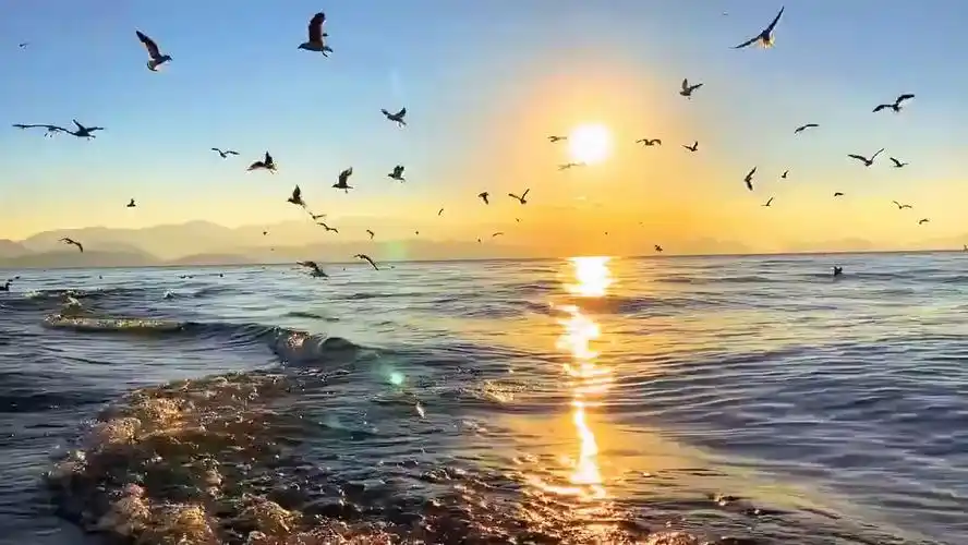 晚霞夕阳西下美景