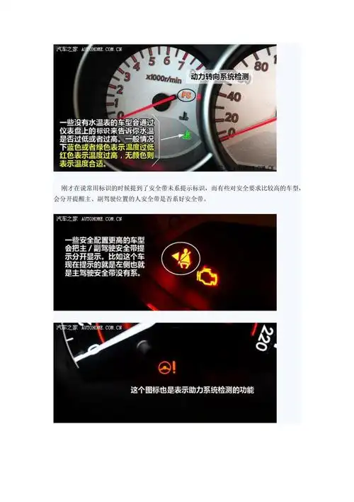 汽车仪表盘指示灯图解_第2页