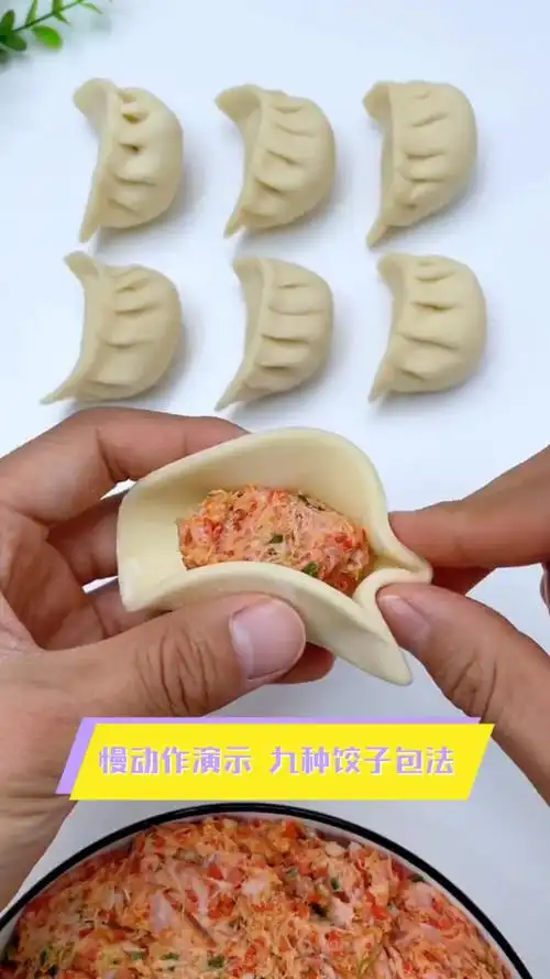慢动作演示,九种饺子包法