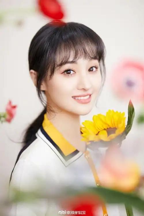 郑爽律师致信鲸乖乖公司##员工曝郑爽公司解散内幕