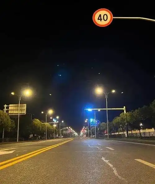 成了led路灯,庄行镇,柘林镇,金汇镇,西渡街道等地的夜晚"明亮"了不少