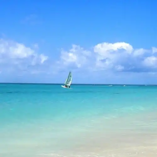 帆船搏击碧海蓝天头像