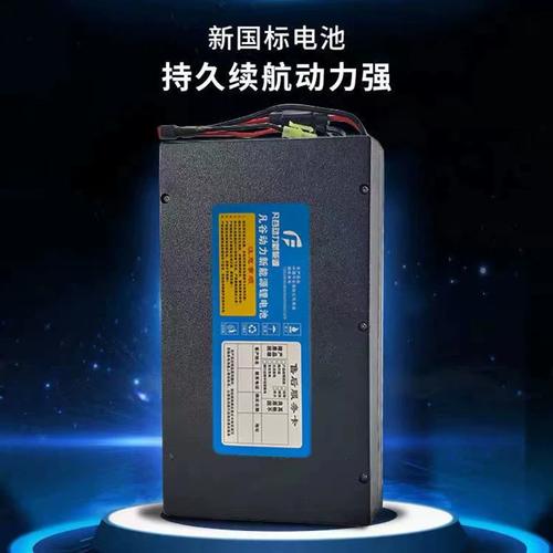 进口德国新日电动车锂电池48v12ah锂离子小型大容量雅迪天能超威