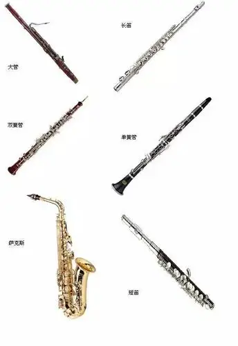 从高音到低音,依次包括短笛,长笛,双簧管,英国管,单簧管,低音单簧管
