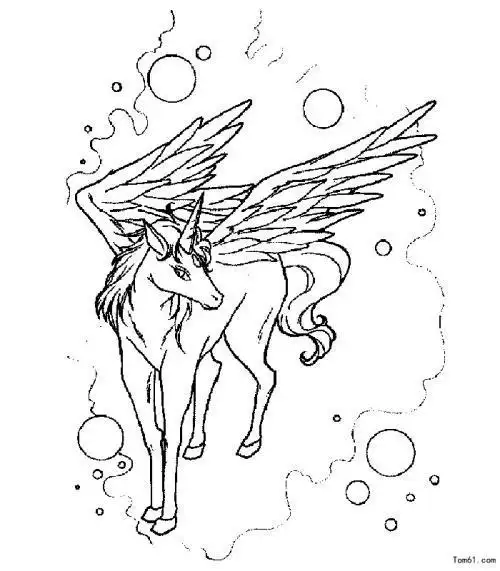 独角兽飞马简笔画飞马简怎么画带翅膀的飞马图片教宝宝学画飞马的画法