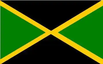 这是哪个国家的国旗黄色叉叉上下三角形黑左右三角形绿