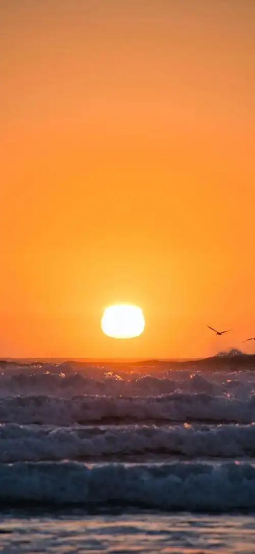 phone手机壁纸,苹果壁纸,安卓壁纸,iphonex壁纸,iphone13壁纸,全面屏