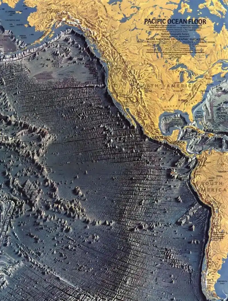 太平洋海底地形地貌示意图,岛屿相当于山 - 抖音