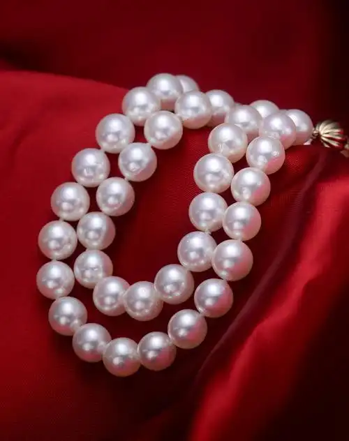 藏海雅事之——闲话收藏中的规矩(其一)