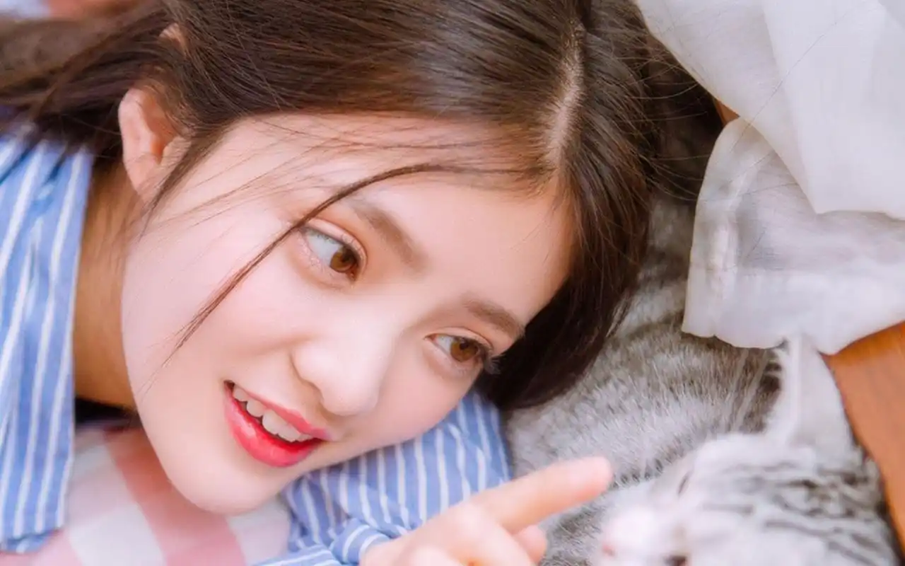 衬衣美女唯美意境写真高清图片桌面壁纸