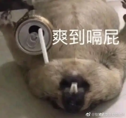 爽到嗝屁表情包-表情包网站