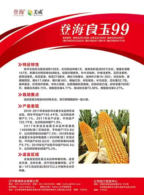 良玉99号_辽宁登海种业有限公司