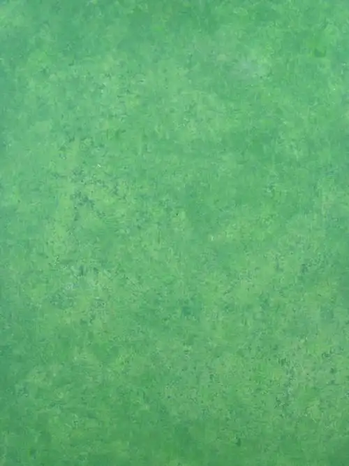 我要净墨绿色图片做手机背景图