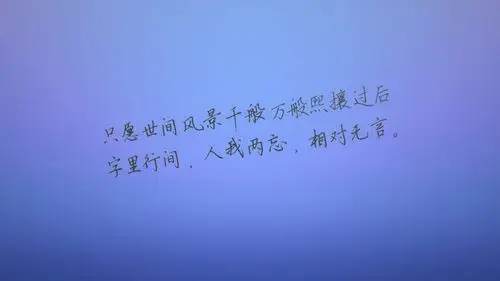 文字语录文字控壁纸11