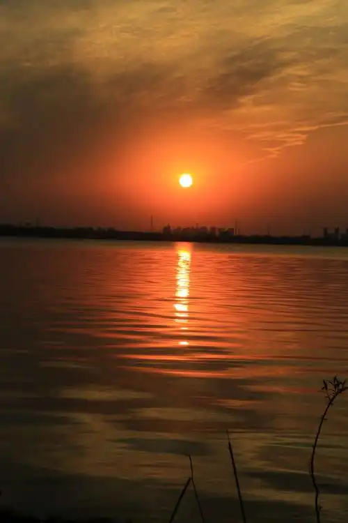 苏州阳澄湖,夕阳晚霞照似景.