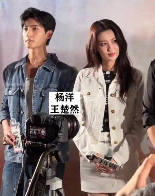 杨洋_网友_桑文而