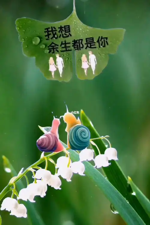 里遇见你真好遇上你之前我随遇而安遇到你之后我以你为安文案治愈壁纸
