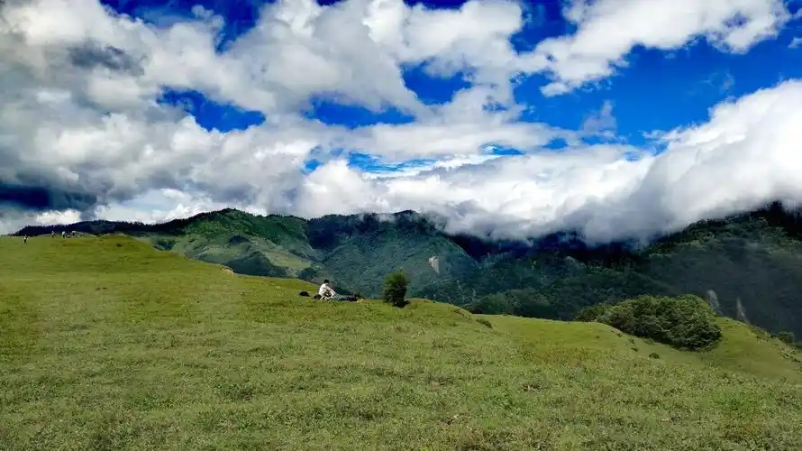 四川十大高山草甸,媲美新西兰霍比特村 - 知乎