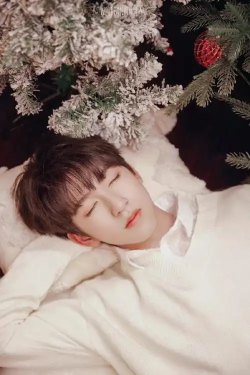 style星时尚专题##贺峻霖 fashion plate##贺峻霖 十八长翎破青空