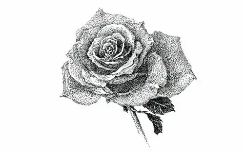 原创手绘-黑白点画