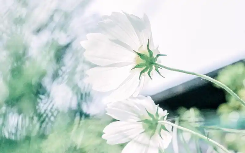 小清新蓝色风景图片桌面壁纸