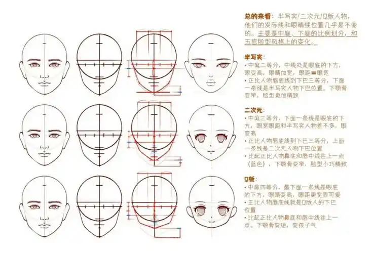 人物脸部结构比例关系