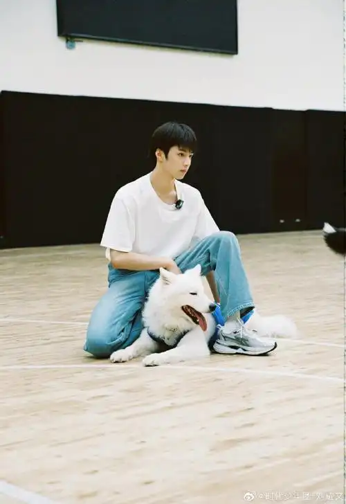 刘耀文让土豆注意表情管理##刘耀文镜头下的土豆