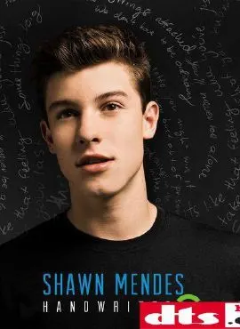 【欧美】加拿大 小帅哥 shawn mendes首专 - handwritten无损