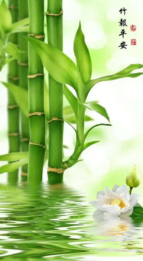 1024_1870竖版 竖屏