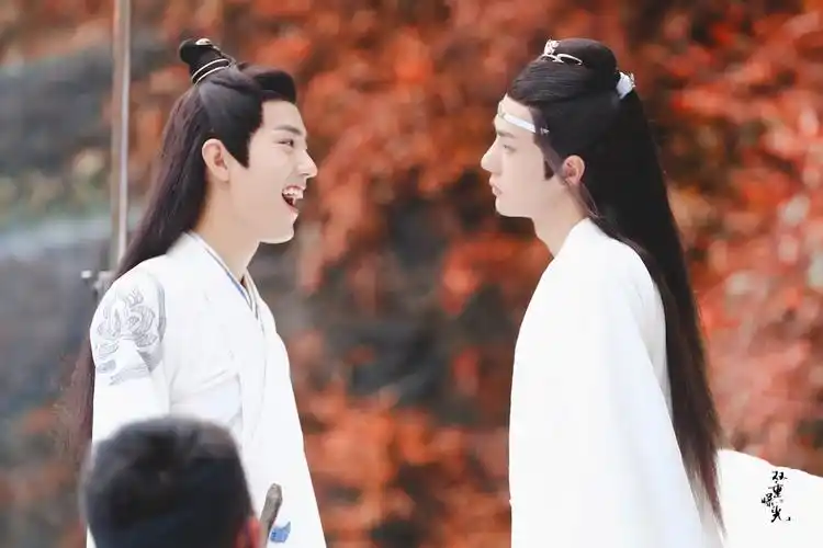 肖战 王一博魏无羡 蓝忘机陈情令 - 堆糖,美图壁纸兴趣社区