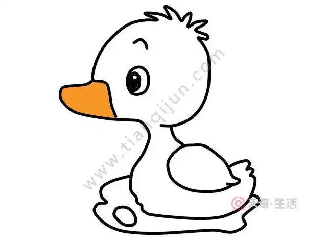 简笔画可爱鸭子大图
