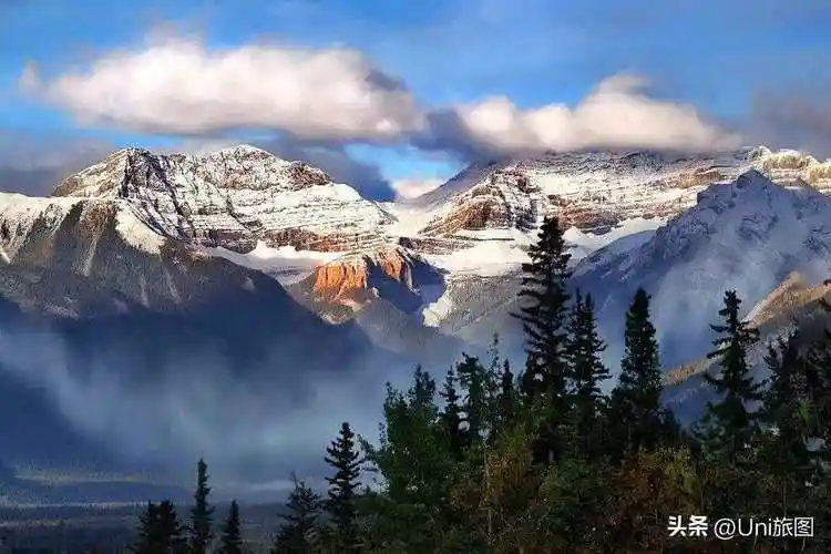 定格美图丝丝春意浸人间风景如画入眼帘