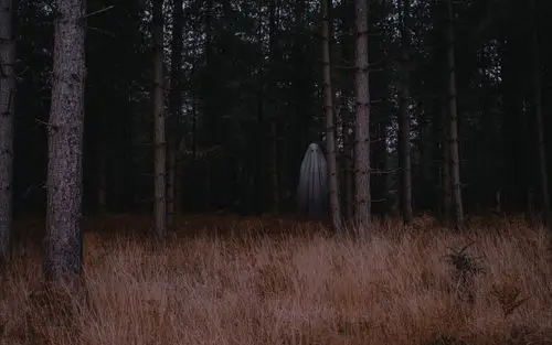 森林背景幽灵高清mac动态壁纸