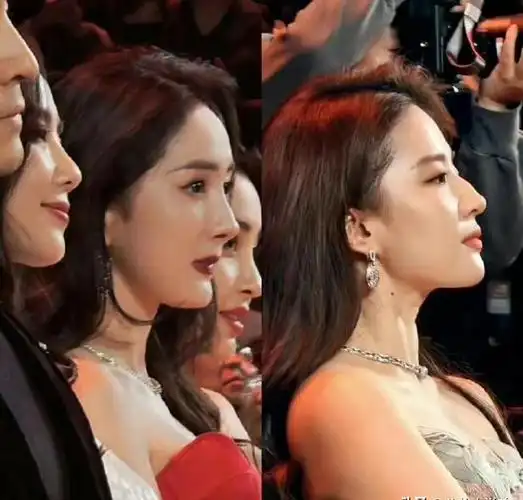 刘亦菲膀大又腰圆算不算顶级美人?看看她和杨幂的合照你就有答案