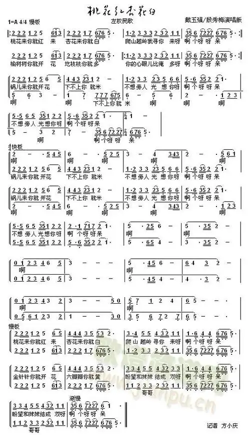 桃花红杏花白 歌谱简谱网