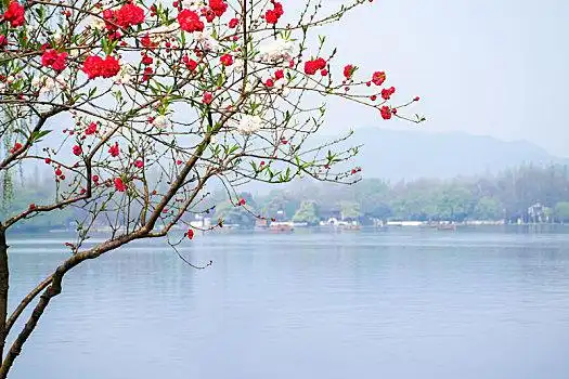 杭州西湖苏堤春晓