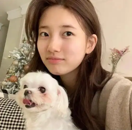 裴秀智ins头像好美好喜欢