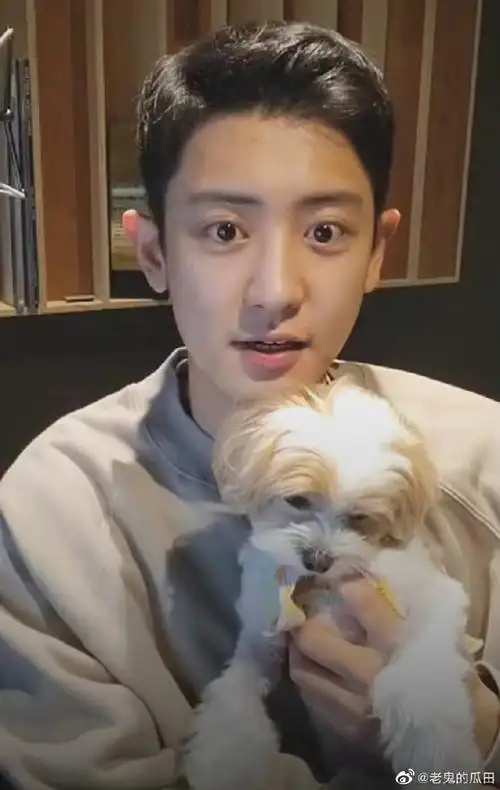 朴灿烈退伍后首直播#今晚退伍后的朴灿烈首直播看看素颜状态如何