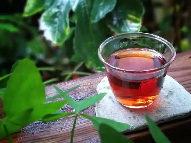 好茶养生正当时茗香绕帘润清秋