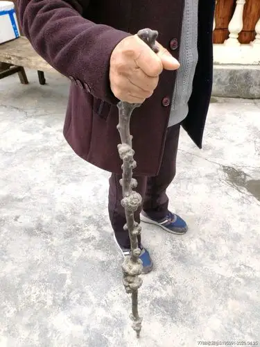 精品天然茶树老树瘤拐杖拐棍