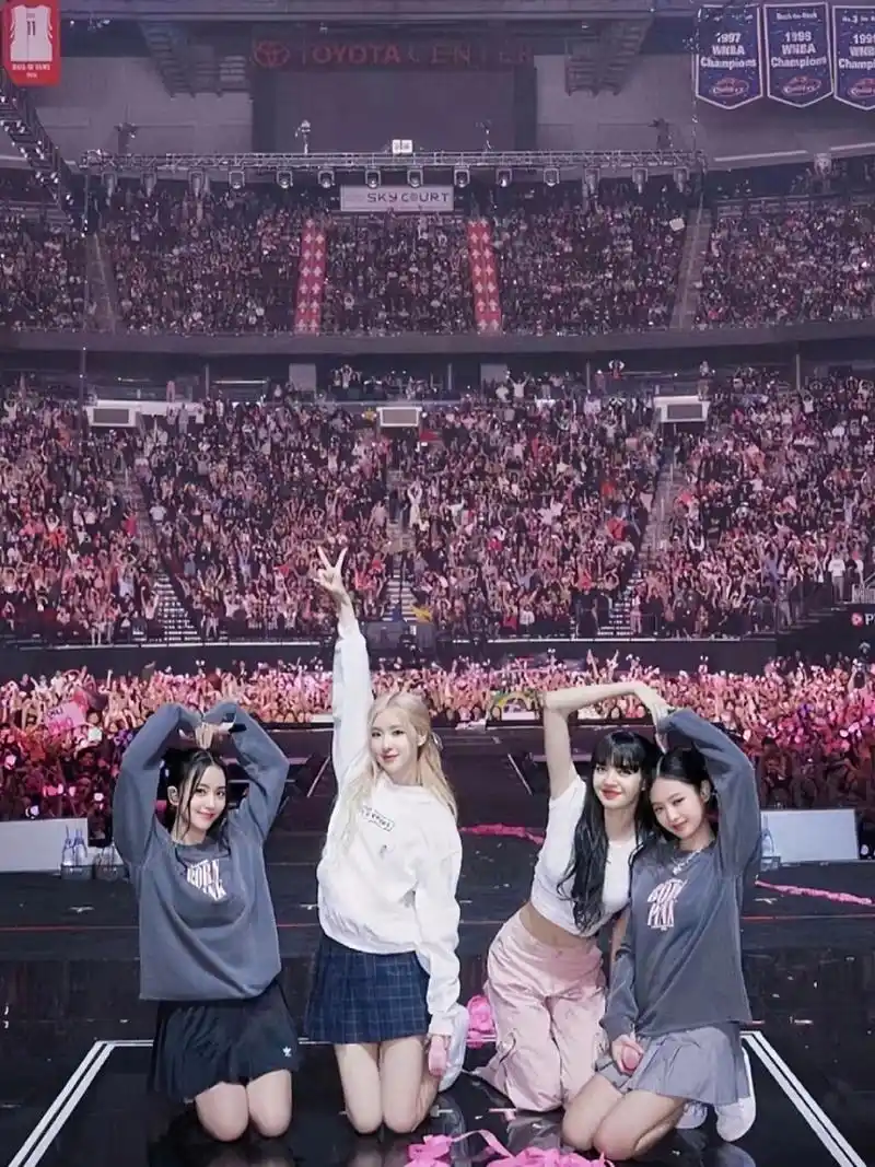 blackpink演唱会,团照合集～持更四女壁纸 #blackpi