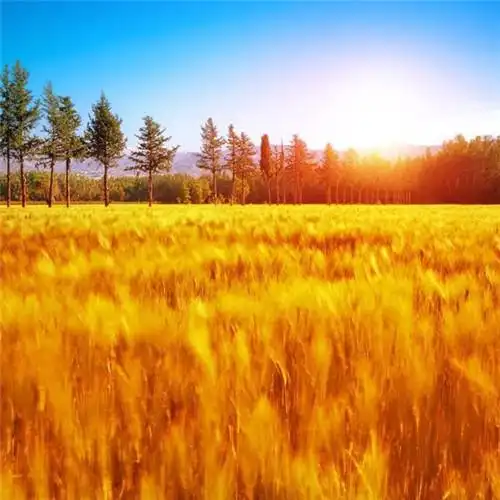 适合一辈子风景头像图片 高清值得一辈子不换的头像风景_风景微信头像